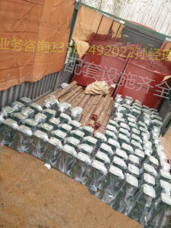 ���]�C�l�T