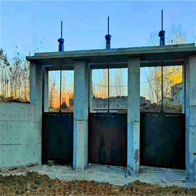 �T�F�l�T�ݗU���]�C